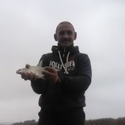  ,   , 55 ,   ,   , c 