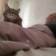  ,   , 53 ,   ,   , c 