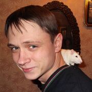 ���������� �������, ���� ������� ����, 41 ���, ������������ ��� ���������