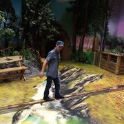 ���������� ������, ���� ������� ����, 50 ���, ������������ ��� ������, ����� � ���������, c�������� ���������