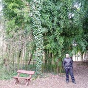  ,   , 36 ,     , c 