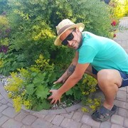 ���������� �����, ���� ������� ������, 37 ���, ������������ ��� ����� � ���������, c�������� ���������