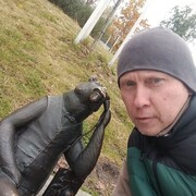 ���������� �����, ���� ������� �����, 49 ���, ������������ ��� ������, ����� � ���������