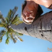 ���������� ����, ���� ������� ���������, 42 ����, ������������ ��� ������, ����� � ���������, c�������� ���������