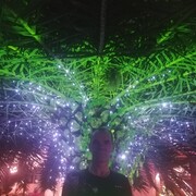 ���������� �����, ���� ������� ���������, 54 ����, ������������ ��� ������, ����� � ���������, c�������� ���������