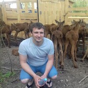 ���������� ��������, ���� ������� ����, 33 ����, ������������ ��� ������, ����� � ���������, ���������