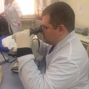 ���������� ������� ��������, ���� ������� ������, 35 ���, ������������ ��� ������, ����� � ���������, c�������� ���������