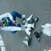 ���������� �������, ���� ������� Ilburs, 40 ���, ������������ ��� ����� � ���������, c�������� ���������, ���������