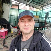  ,   , 43 ,  