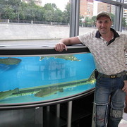  ,   , 49 ,   ,   , c , 