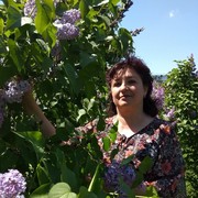  ,   , 52 ,  