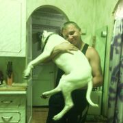  ,   , 39 ,   ,   , c , 
