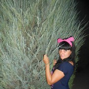 ���������� ������� ���, ���� ������� �������, 38 ���, ������������ ��� ������, ����� � ���������, c�������� ���������