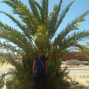 ���������� ������, ���� ������� Emilaliti, 65 ���, ������������ ��� ������, ����� � ���������, c�������� ���������