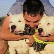 ���������� ���������, ���� ������� ������, 33 ����, ������������ ��� ������, ����� � ���������