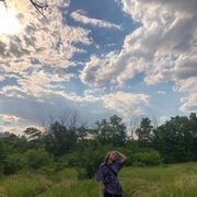 ���������� ������-��-����, ���� ������� ����, 31 ���, ������������ ��� ���������