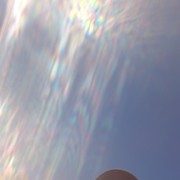 ���������� �������, ���� ������� ����, 29 ���, ������������ ��� ������, ����� � ���������, c�������� ���������