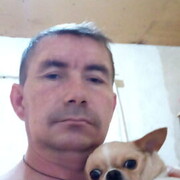 ���������� ����������, ���� ������� �����, 46 ���, ������������ ��� c�������� ���������