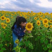 ���������� ���������, ���� ������� �����, 49 ���, ������������ ��� ������, ����� � ���������