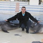  ,   Ahmet1981, 43 ,   ,   , c 