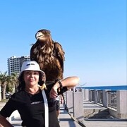 ���������� ������������, ���� ������� ������, 50 ���, ������������ ��� c�������� ���������