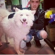 ���������� ������ ���, ���� ������� �����, 29 ���, ������������ ��� ������, ����� � ���������, c�������� ���������