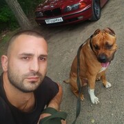 ���������� ����, ���� ������� Archi, 32 ����, ������������ ��� ������, ����� � ���������, c�������� ���������