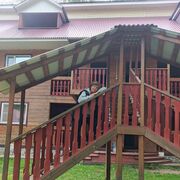 ���������� �������, ���� ������� ������, 52 ����, ������������ ��� ������, ����� � ���������