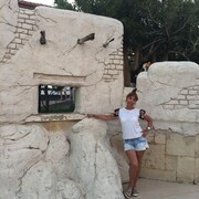 ���������� �����-���������, ���� ������� ��������, 49 ���, ������������ ��� ������, ����� � ���������, c�������� ���������