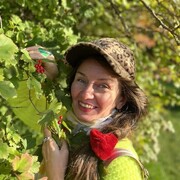 ���������� �����-���������, ���� ������� ����, 48 ���, ������������ ��� ������, ����� � ���������