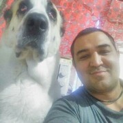  ,   RAVIL, 43 ,   ,   