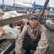 ���������� ������, ���� ������� ��������, 40 ���, ������������ ��� ������, ����� � ���������, c�������� ���������, ���������