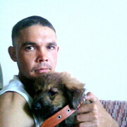 ���������� ����-���������, ���� ������� �������, 36 ���, ������������ ��� ������, ����� � ���������, c�������� ���������, ���������