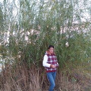 ���������� ����������, ���� ������� �������, 38 ���, ������������ ��� ������, ����� � ���������, c�������� ���������