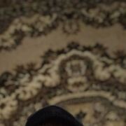 ���������� ���������, ���� ������� ����, 46 ���, ������������ ��� ������, ����� � ���������