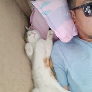  ,   Said, 45 ,   ,   