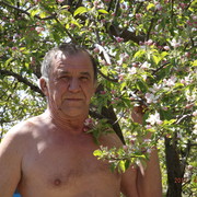  ,   , 74 ,   
