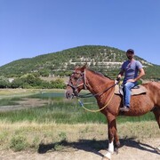 ���������� �����������, ���� ������� ����, 43 ����, ������������ ��� ������, ����� � ���������, c�������� ���������, ���������