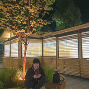 ���������� �����, ���� ������� ���, 30 ���, ������������ ��� ������, ���������