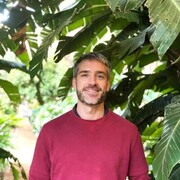 ���������� ������, ���� ������� ������, 37 ���, ������������ ��� ������, ����� � ���������, c�������� ���������, ���������