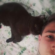 ���������� ����������, ���� ����� ����, 24 ����, ������������ ��� ������, ����� � ���������, c�������� ���������