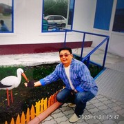 ,  , 52