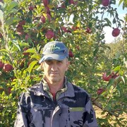 ���������� ����, ���� ������� �����, 48 ���, ������������ ��� ������, ����� � ���������, c�������� ���������, ���������