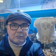  -,   , 55 ,   c 