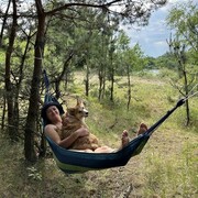 ���������� ������, ���� ������� �������, 37 ���, ������������ ��� ����� � ���������, c�������� ���������