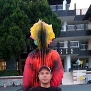  ,   , 38 ,   