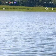  -,   , 48 ,   ,   , c 