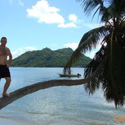 ���������� ���������, ���� ������� �������, 50 ���, ������������ ��� ������