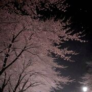 ���������� ������, ����