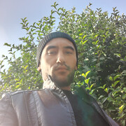  ,   , 32 ,   ,   
